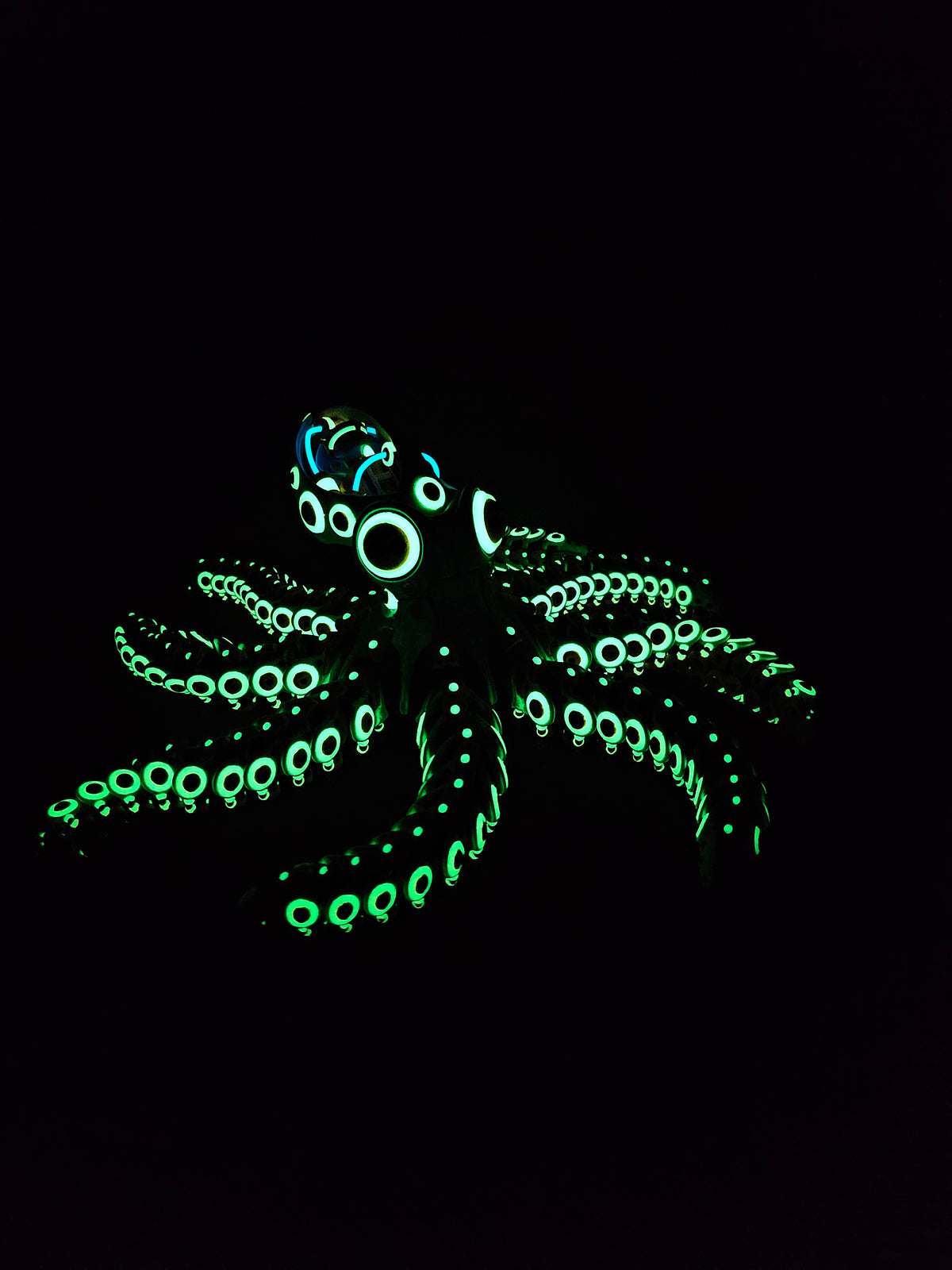 RoboOctopus