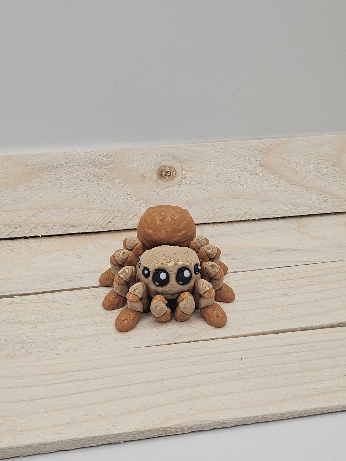Spider