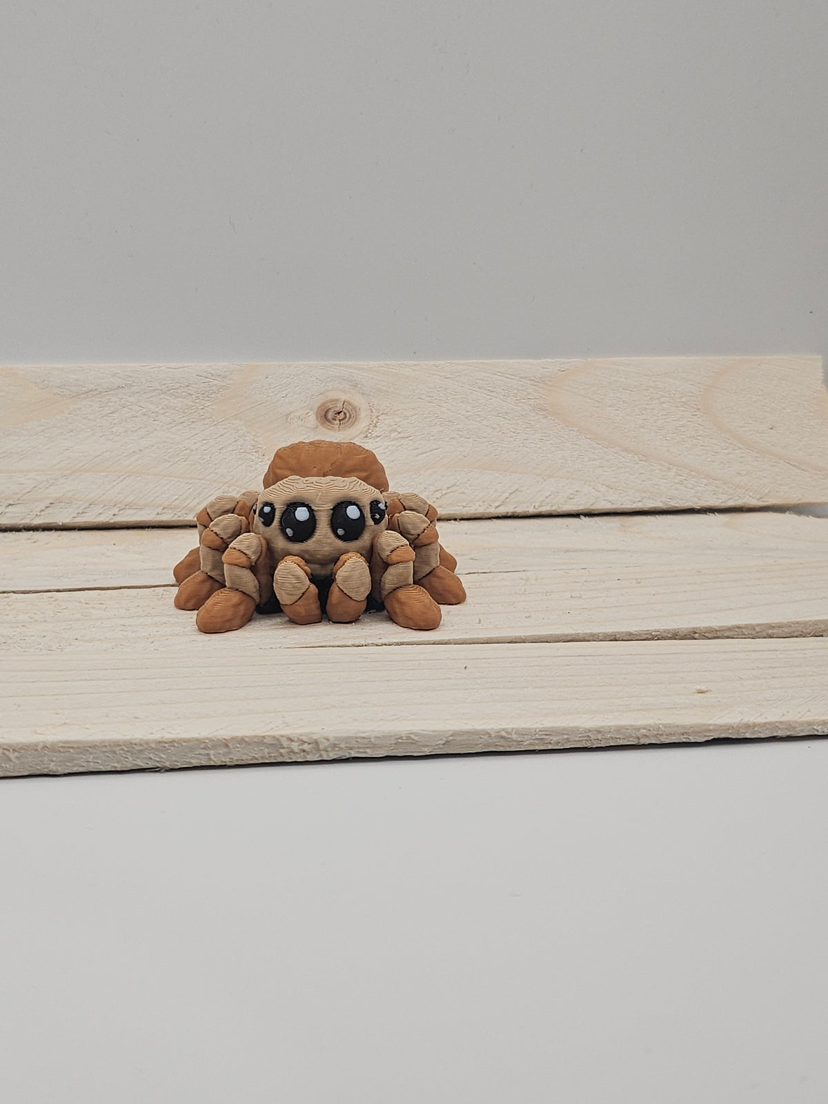 Spider