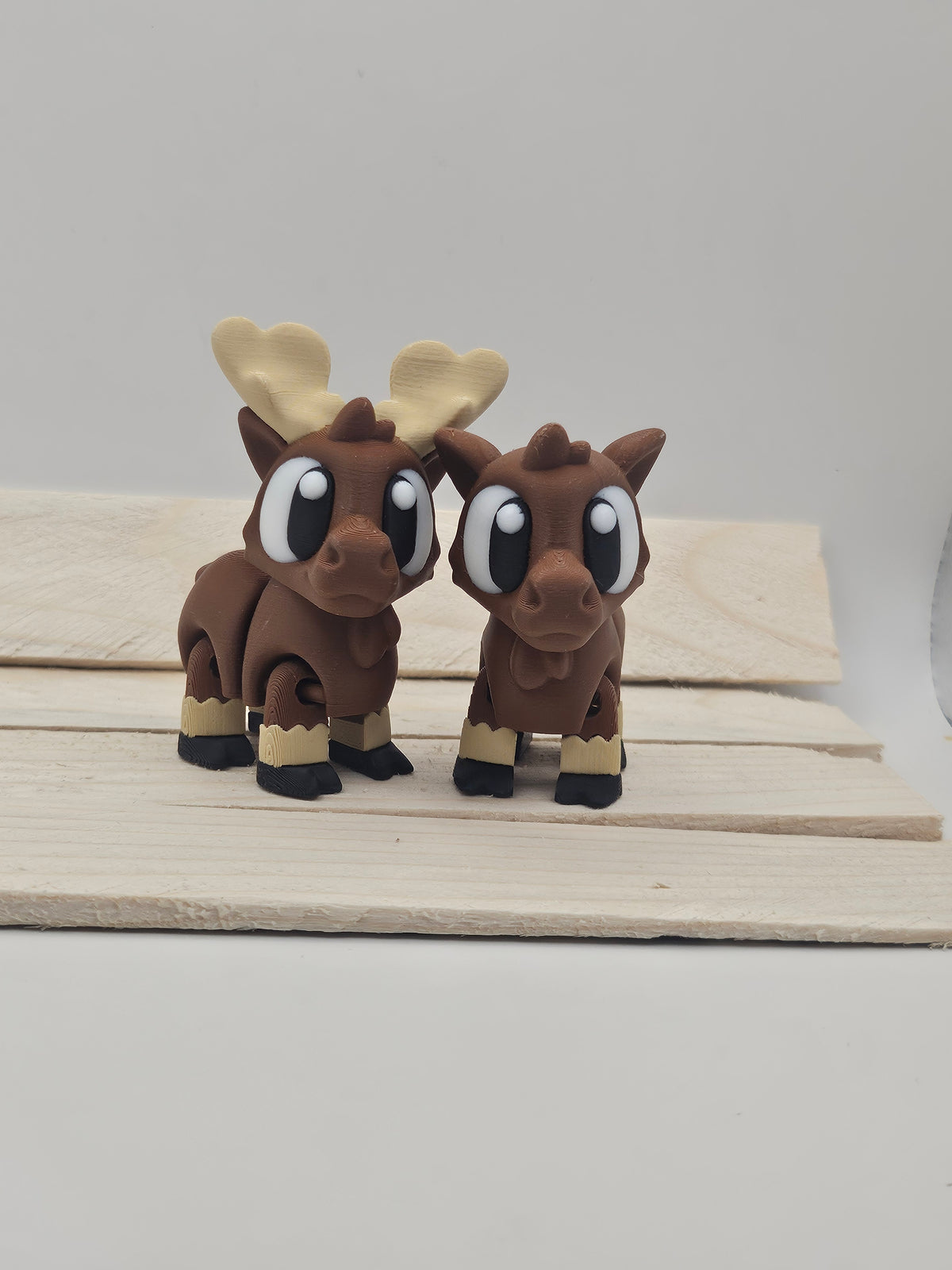 Moose