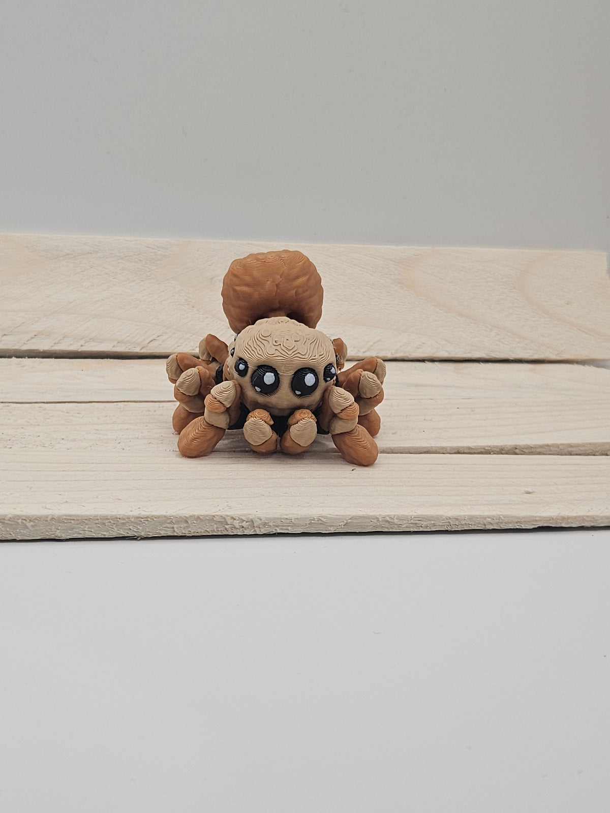 Spider