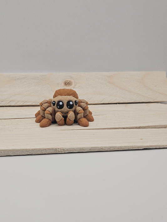 Spider